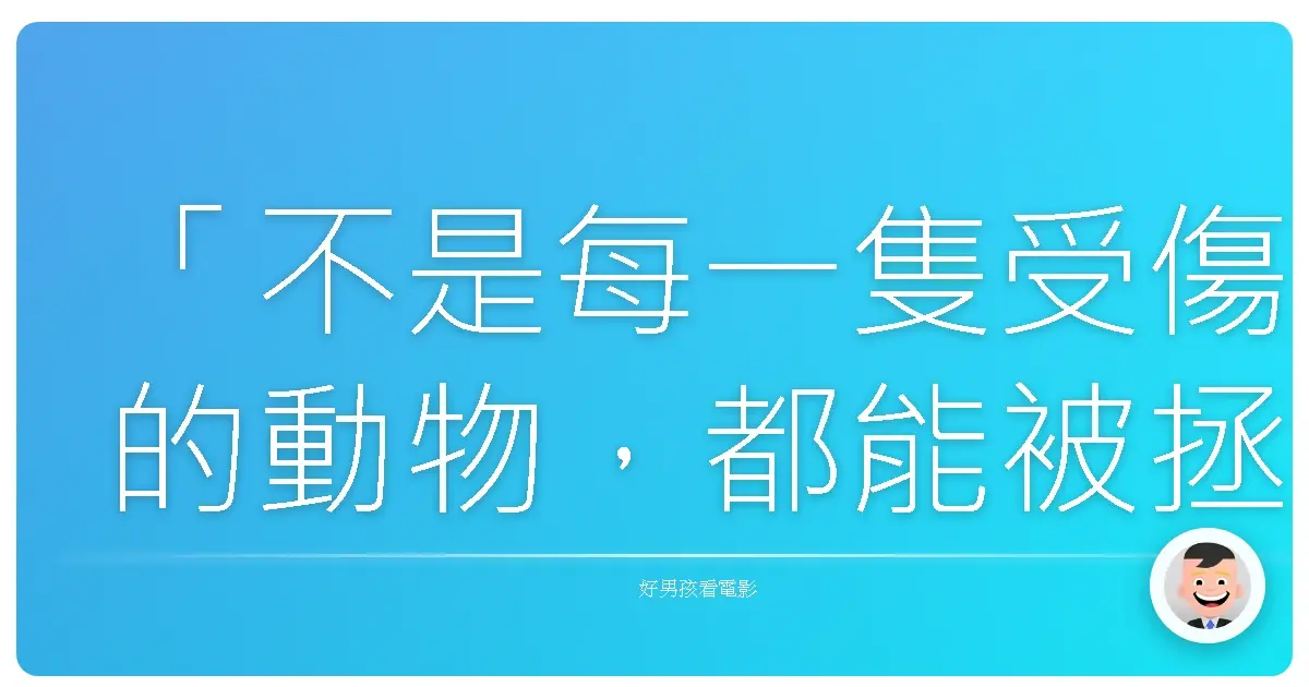 「不是每一隻受傷的動物,都能被拯救。但每一份溫柔,都有意義。」——《獸醫診所》(The Veterinarian)